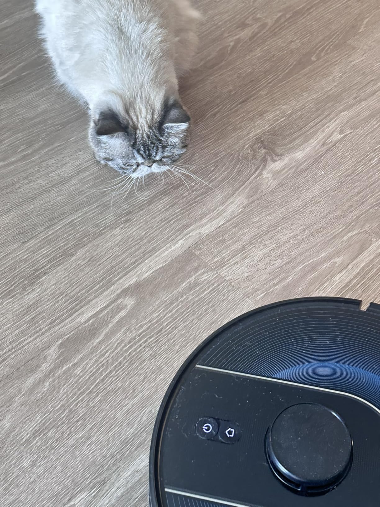 Bagotte Robot Vacuum and Mop Combo, 6000Pa Robotic Vacuum with Mapping, Self-Emptying Station for 90 Days Hands-Free Cleaning, LiDAR Navigation, Wi-Fi/App/Alexa Voice Control, for Carpets&Hard Floors customer photo 1