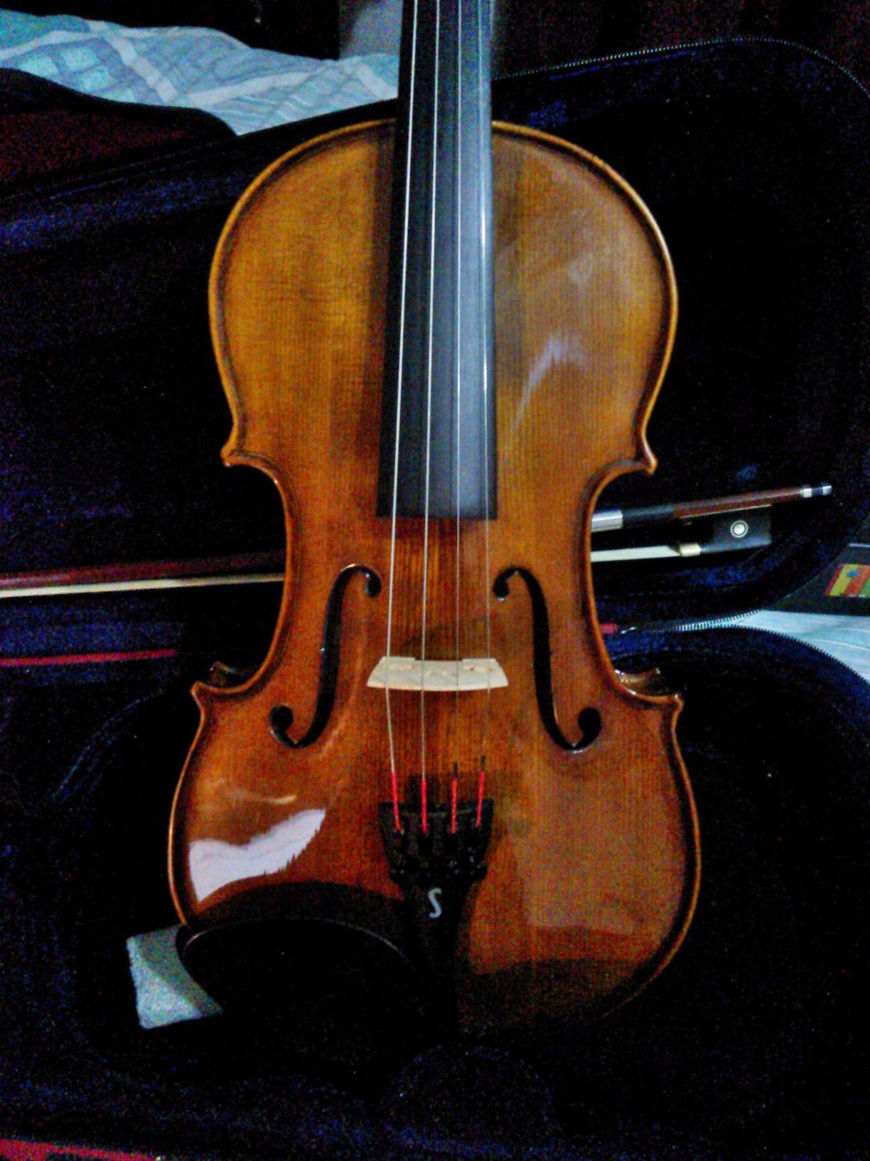 Stentor 1500 1/4 4-String Violin customer photo 1