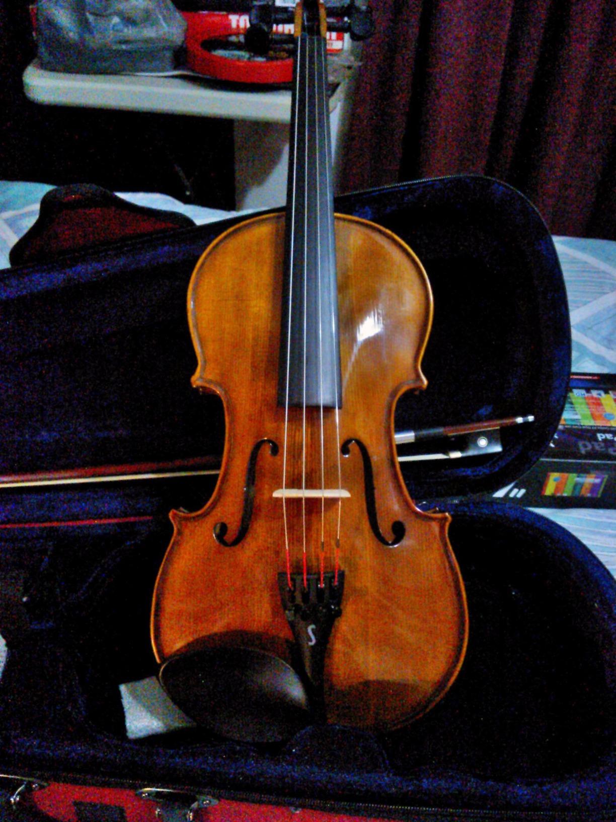 Stentor 1500 1/4 4-String Violin customer photo 2