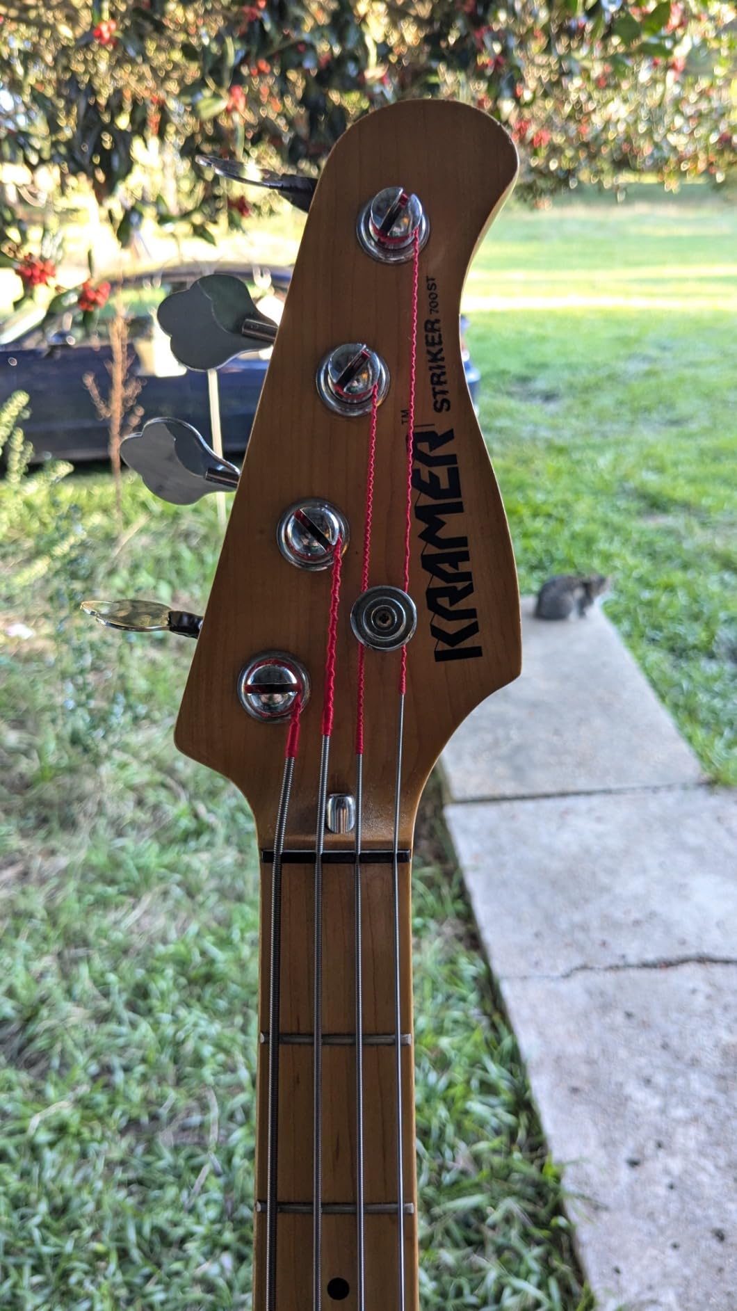 Rotosound RS66LD Swing Bass Electric Bass 4 String Set (45-105) customer photo 1