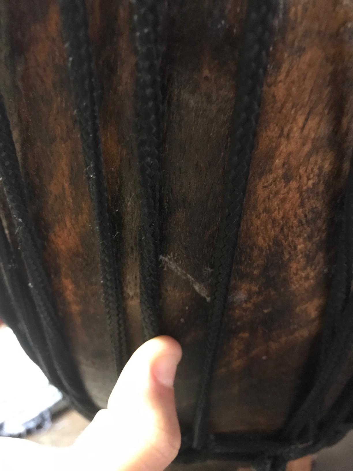 Africa Heartwood Project Hand-Carved Djembe Drum from Ghana - 11