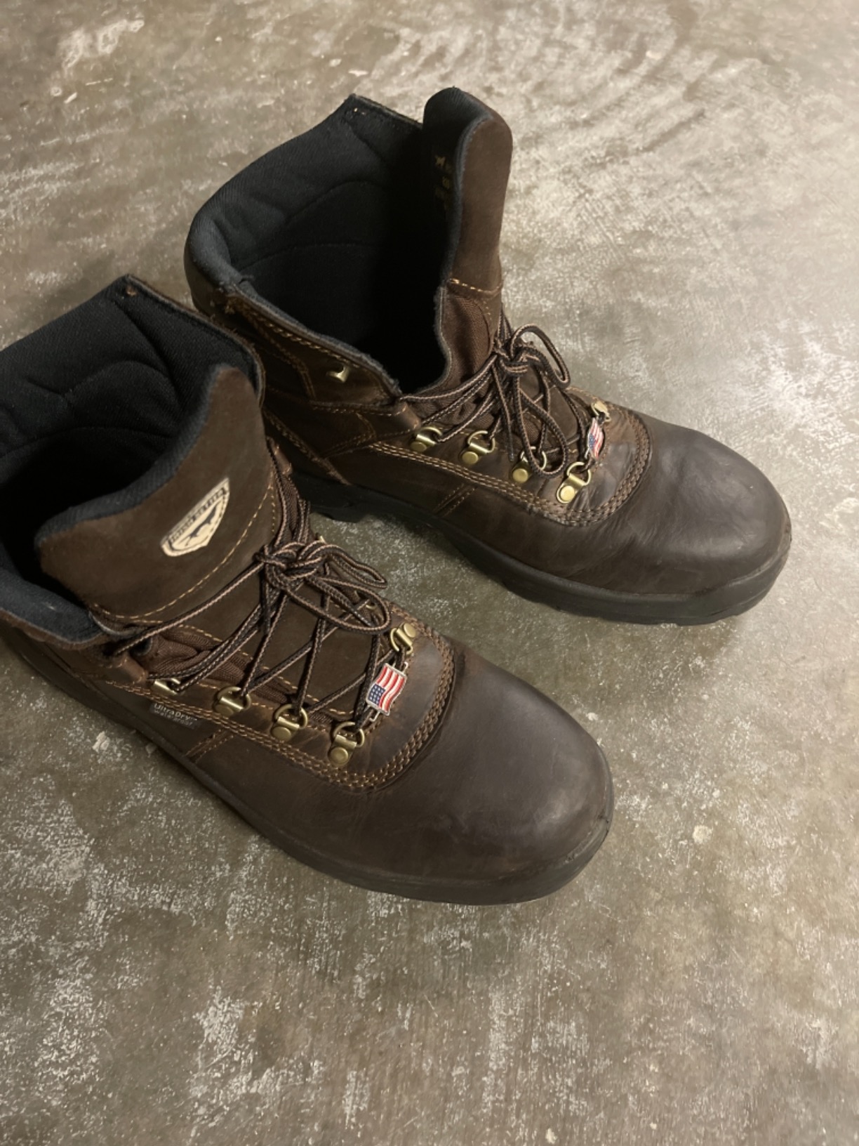 Irish Setter, Ely, Men's, 6