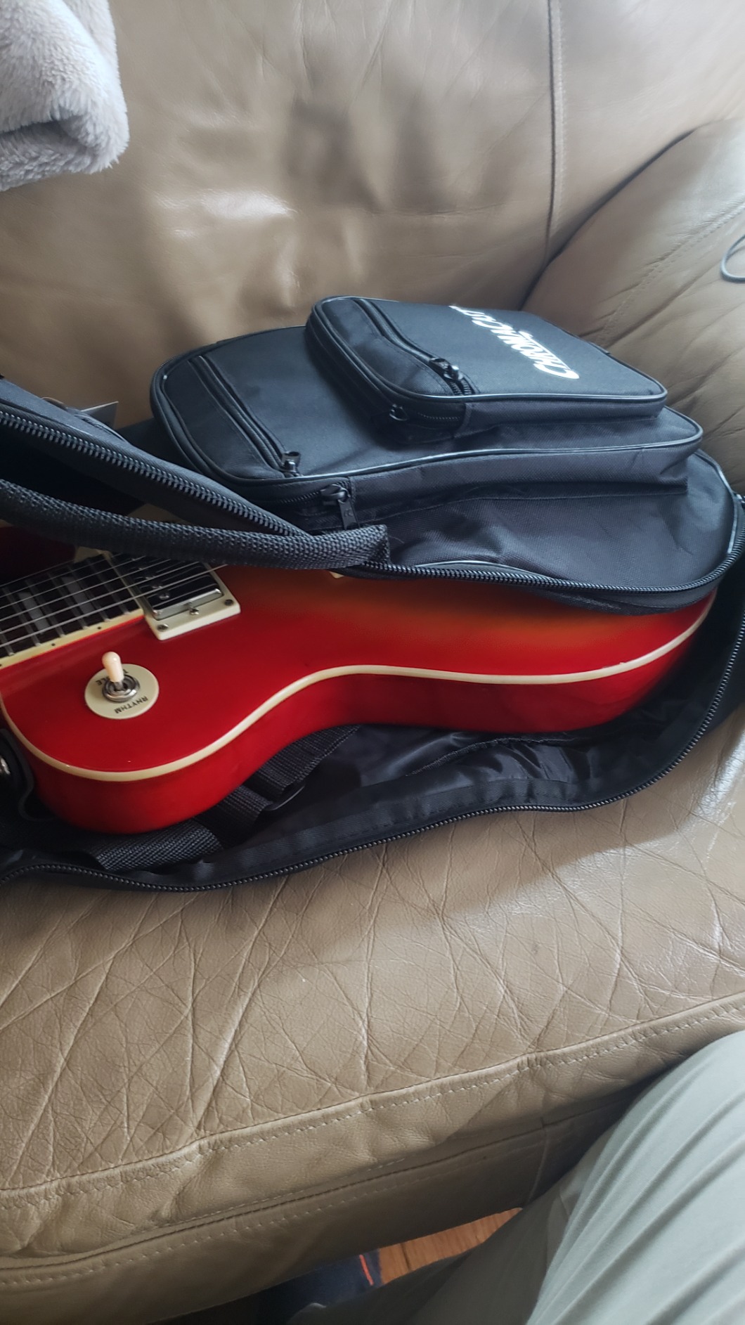 Electric Padded Gig Bag customer photo 2