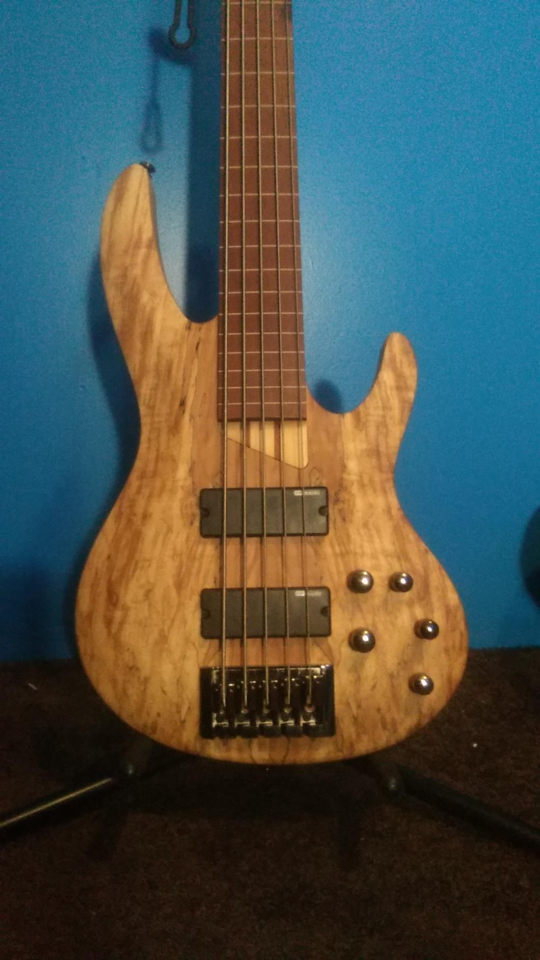 ESP LTD B-205SM Fretless 5-String Electric Bass - Natural Satin customer photo 1