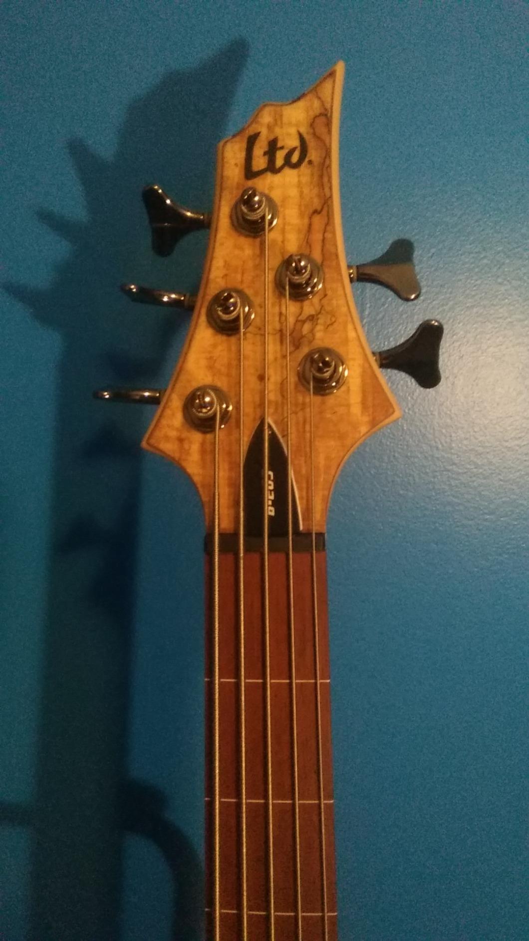 ESP LTD B-205SM Fretless 5-String Electric Bass - Natural Satin customer photo 2