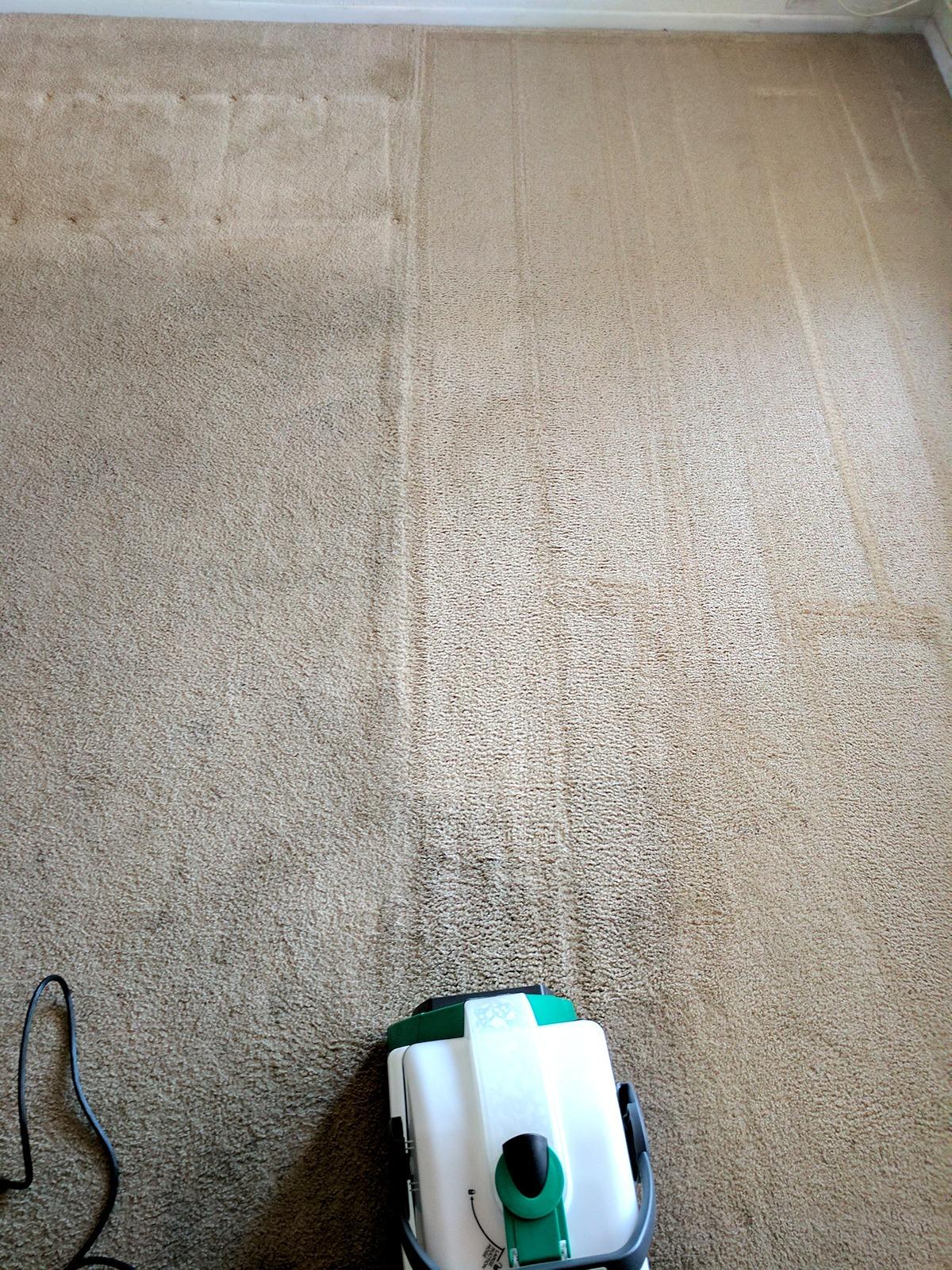 OdorStop OS2800 Heavy Duty Air Mover and Carpet Dryer customer photo 1