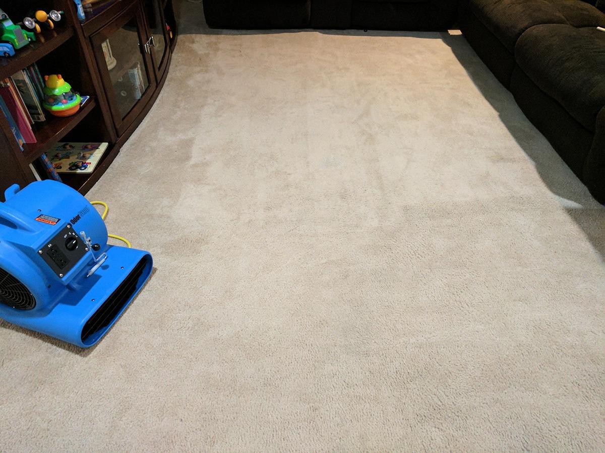 OdorStop OS2800 Heavy Duty Air Mover and Carpet Dryer customer photo 2