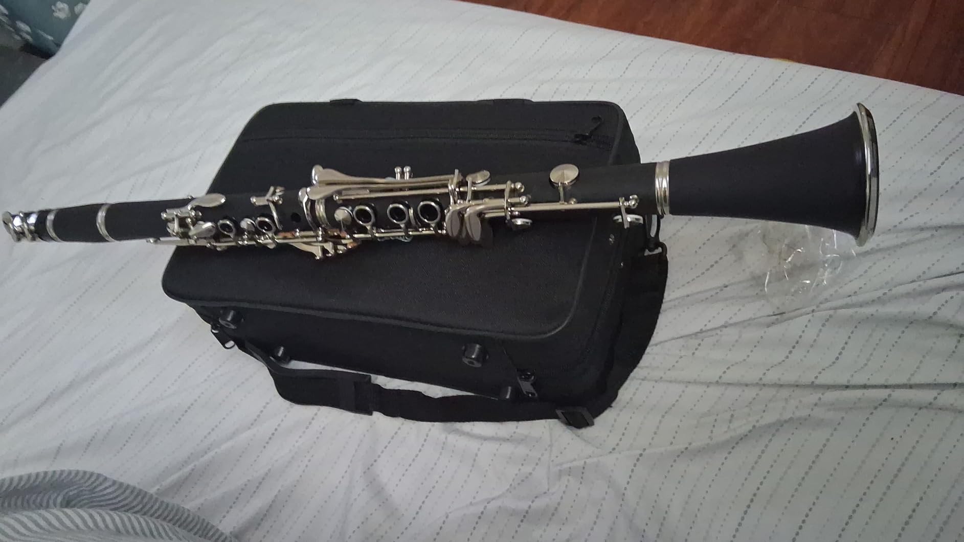Mendini By Cecilio B Flat Clarinet for Beginner, Ebonite Bb Clarinet with 10 Reeds, Mouthpiece, Cork Grease, Gloves, Cleaning Cloth, Hard Case, Pocketbook, Stand (Light Blue) customer photo 1