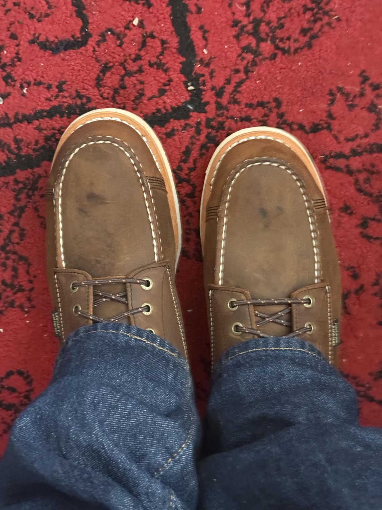 Irish Setter, Wingshooter ST, Men's, 6