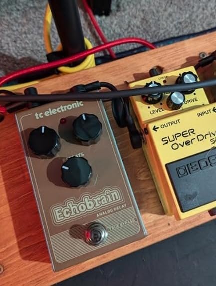 TC Electronic EchoBrain Analog Delay - Vintage-Style Delay Pedal with All-Analog Bucket-Brigade Circuit customer photo 1