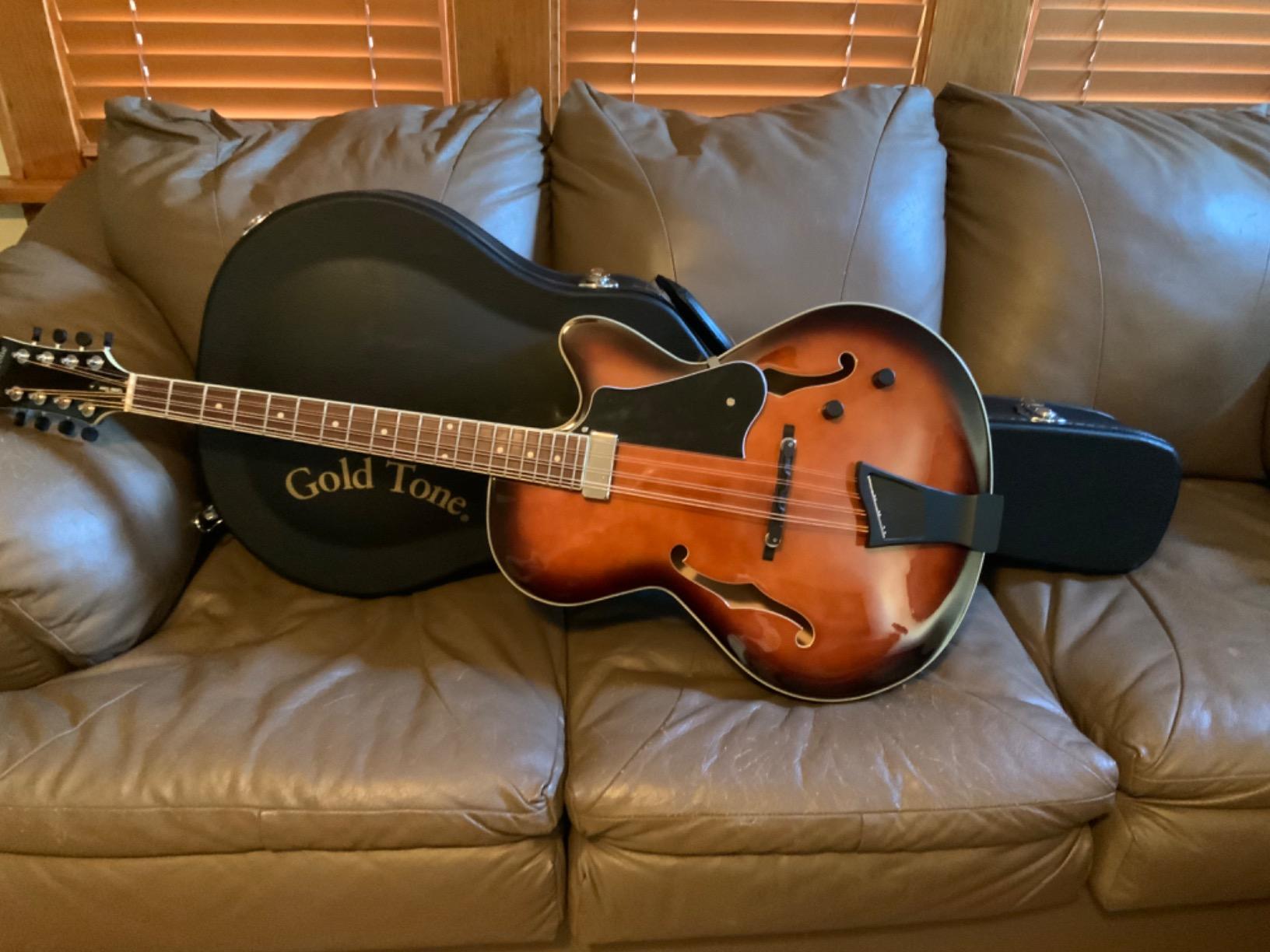 Gold Tone Mandocello with Pickup and Case customer photo 1