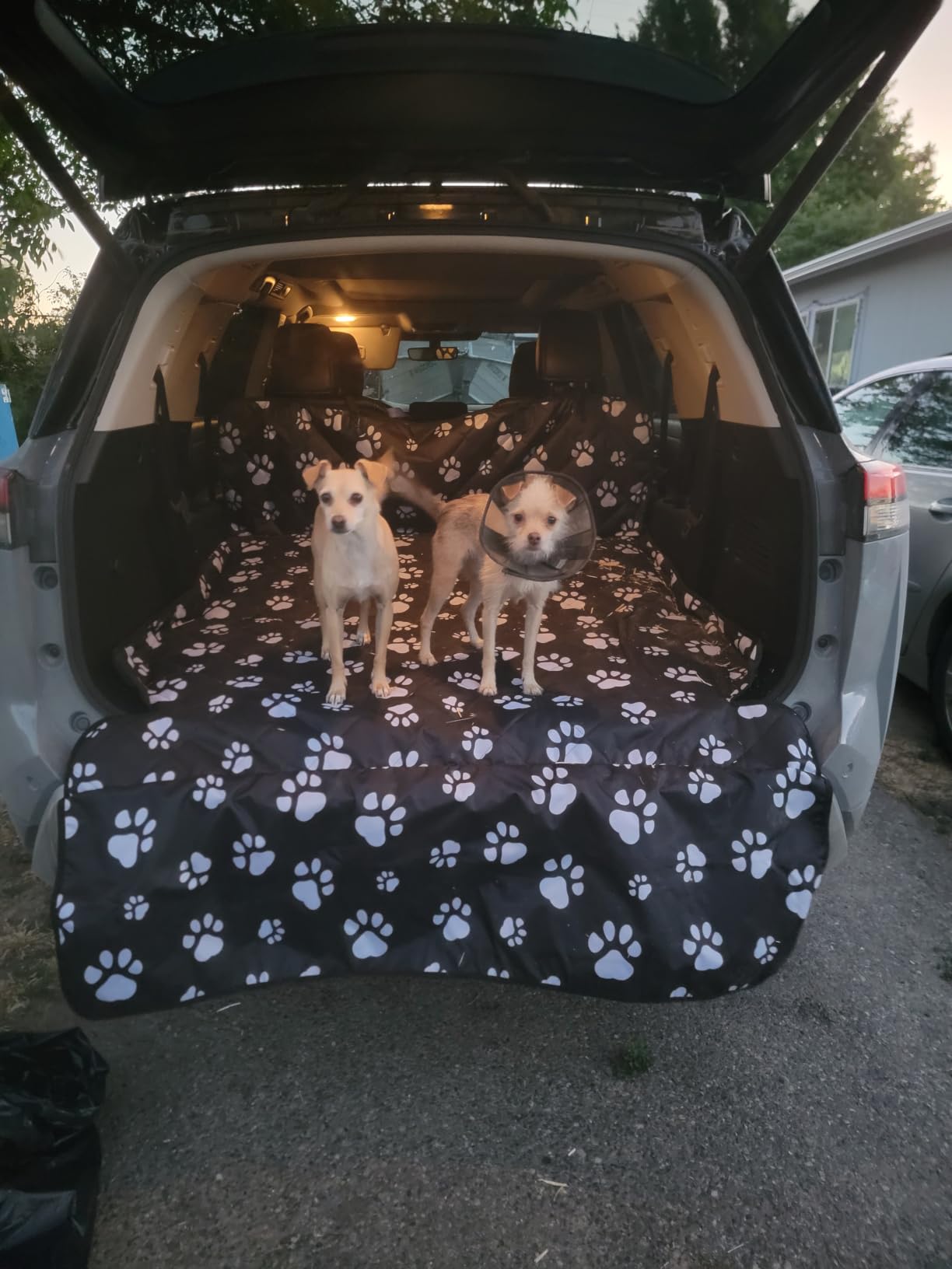 F-color SUV Cargo Liner for Dogs, Heavy Duty Water Resistant Pet Cargo Cover Dog Seat Cover Mat for Mid-Size SUVs Sedans Vans with Bumper Flap Protector, Non-Slip, Standard Size Universal Fit, Black customer photo 1