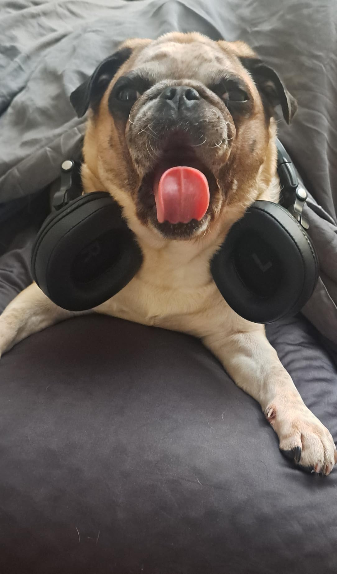 OneOdio A70 Bluetooth Over Ear Headphones, Wireless Headphones with 72H Playtime, Hi-Res, Built-in Mic, 3.5mm/6.35mm Wired Audio Jack for Studio Monitor & Mixing DJ Guitar AMP, Computer PC Gaming customer photo 2