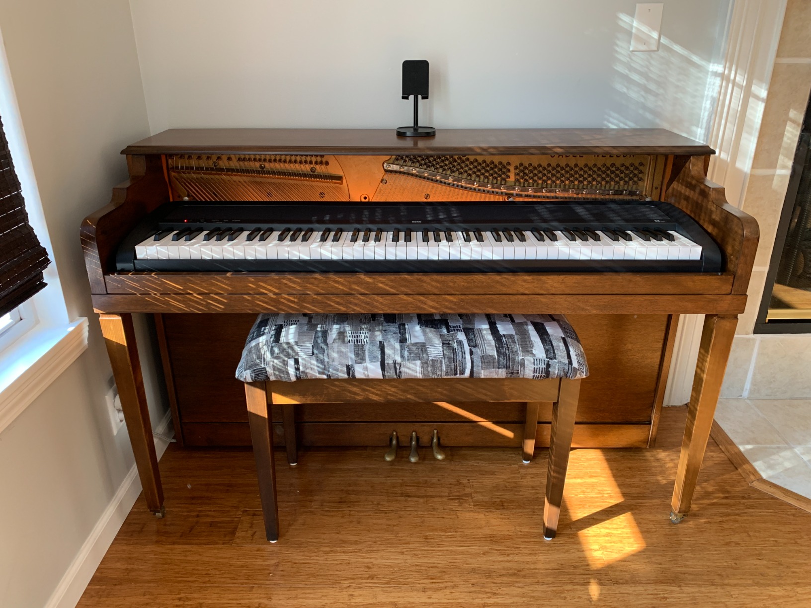 Korg B2 88-Key Digital Piano with Audio and MIDI USB - Software Included - Black customer photo 1