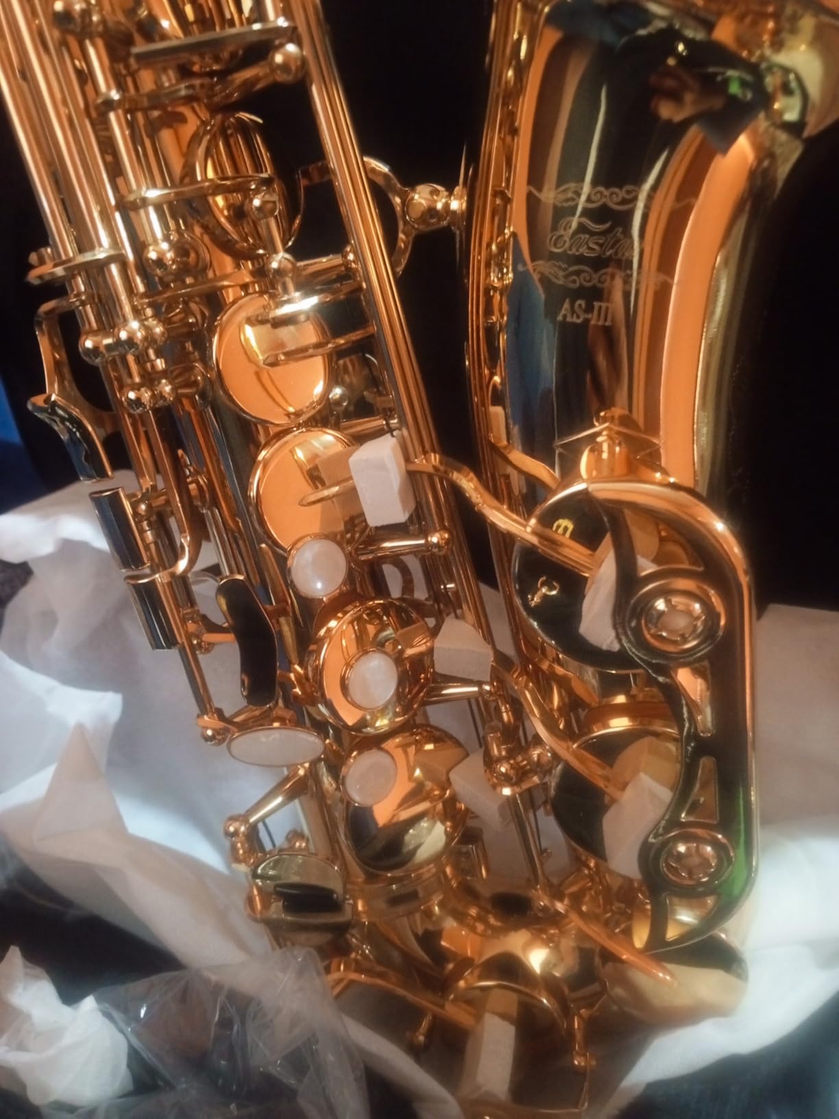 Eastar Tenor Saxophone, B Flat Golden Lacquer Beginner Kit with Cleaning Cloth, Case, Mouthpiece, Neck Strap, Reeds, TS-II customer photo 2