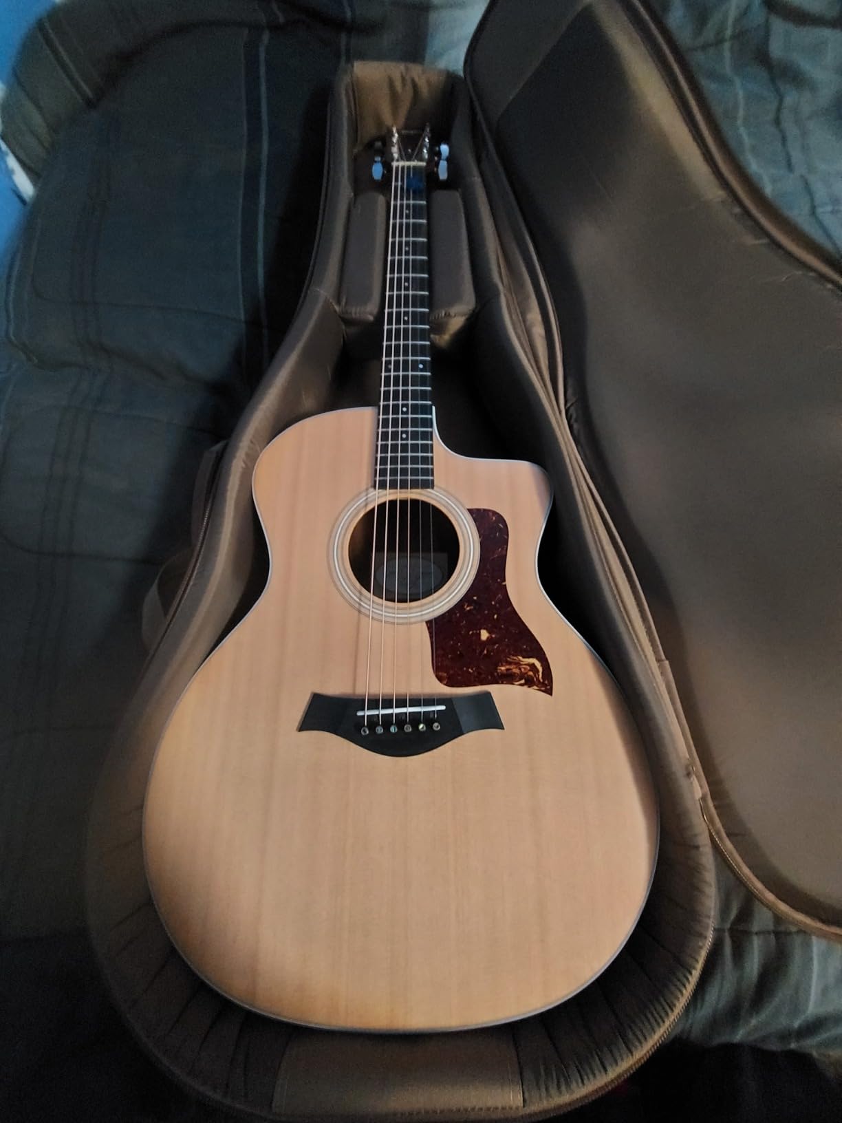 Taylor 214ce-K Acoustic-electric Guitar - Natural customer photo 2