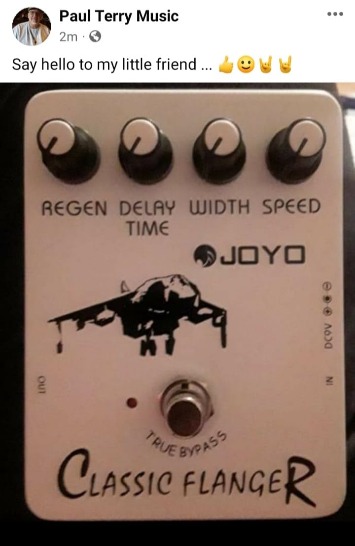 JOYO Classic Flanger Guitar Pedal, BBD Circuit with Metallic Flange & Chorus-Vibrato Tones (JF-07) customer photo 1