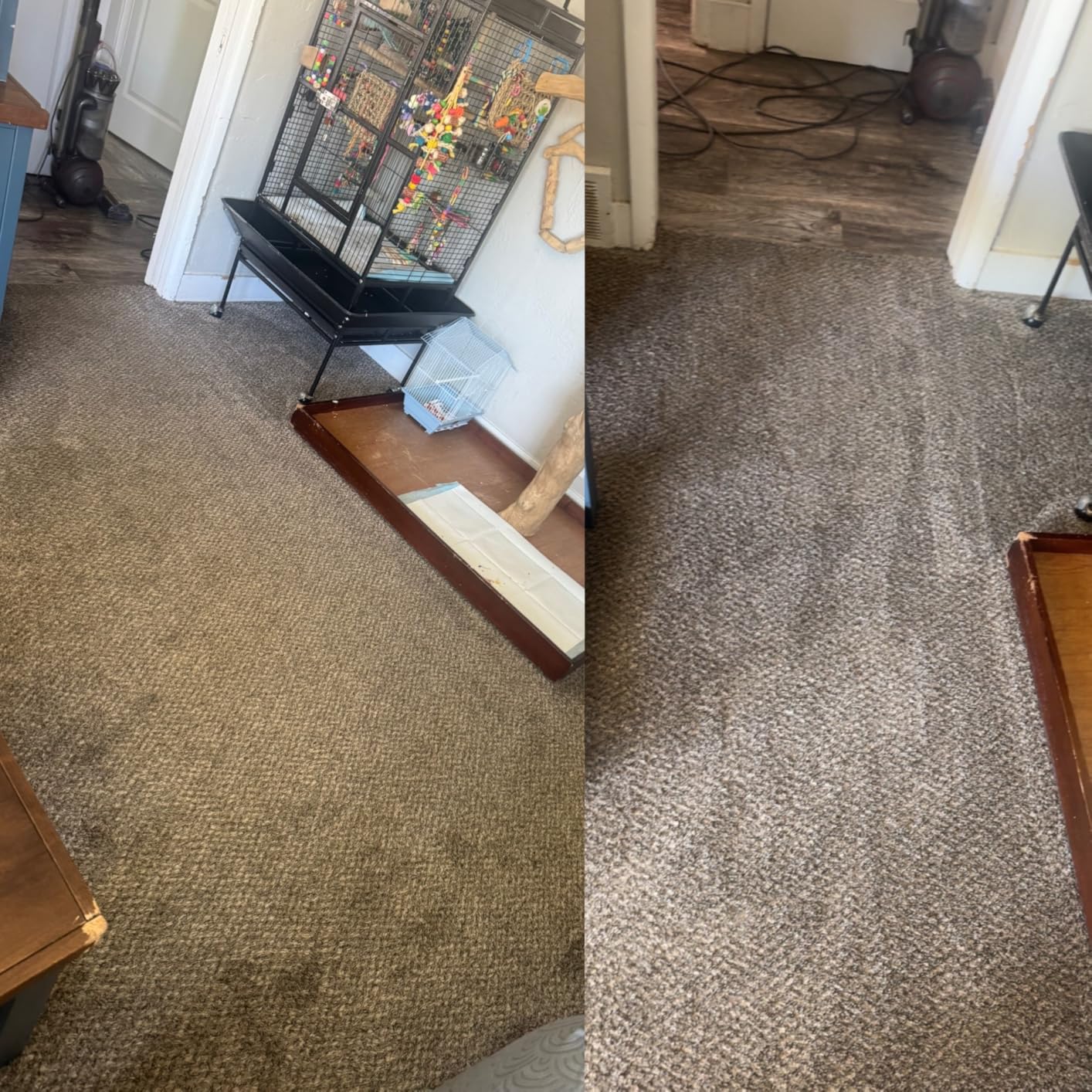 Rug Doctor Mighty Pro X3 Commercial Carpet Cleaner with Oxy Cleaner Pack customer photo 1