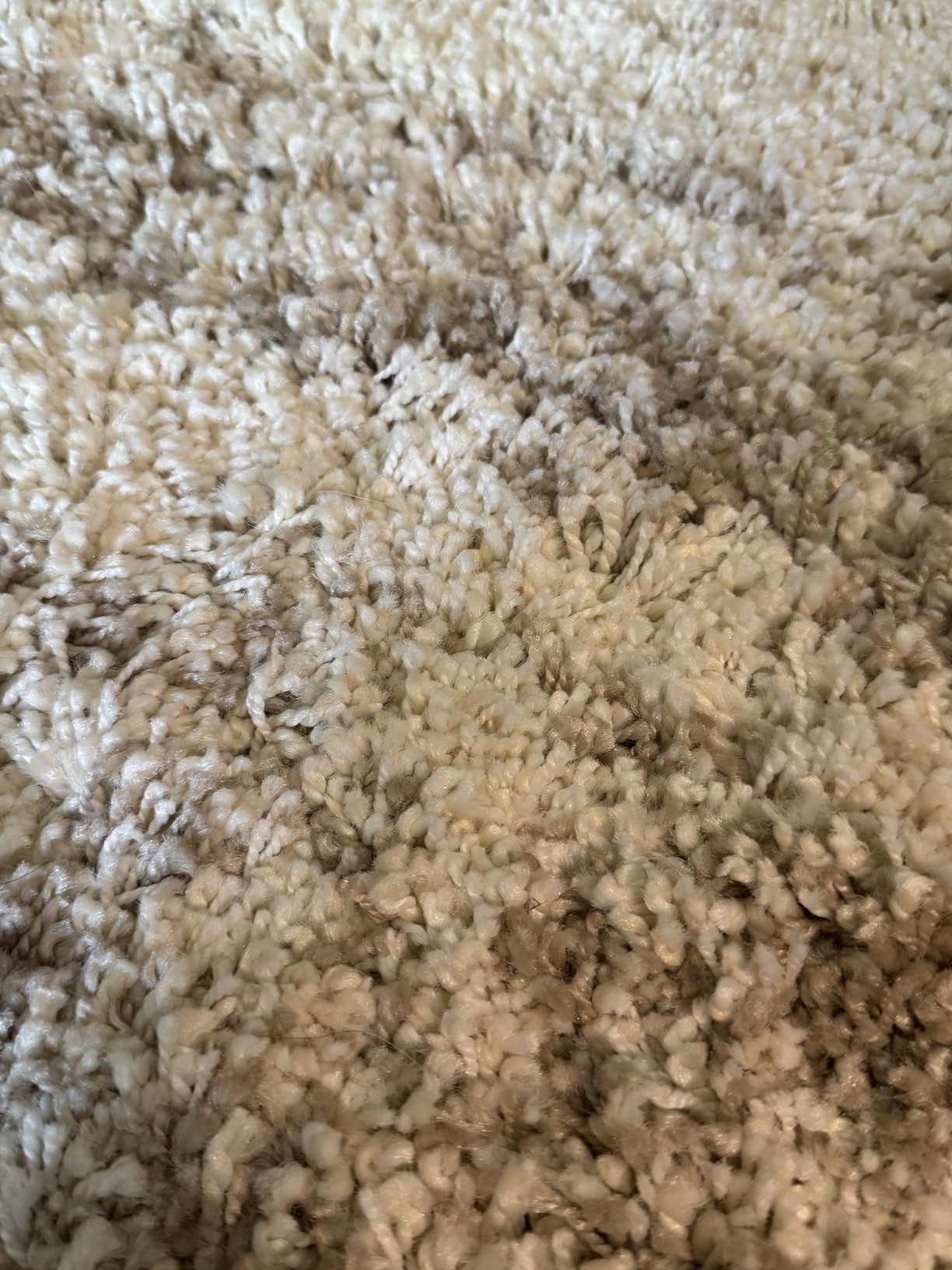 SAFAVIEH Hudson Shag Collection Area Rug - 5'3