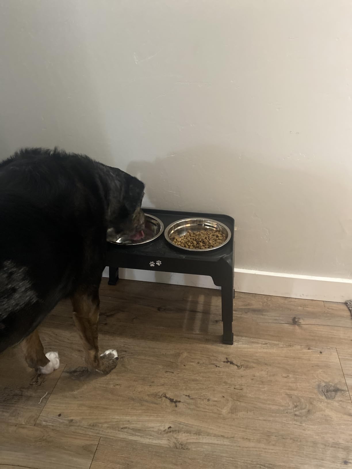 COMESOON Elevated Dog Bowls, 4 Height Adjustable Raised Bowl Stand with 2 Thick 50oz Stainless Steel Food Bowls Non-Slip Feeder Adjusts to 3.7