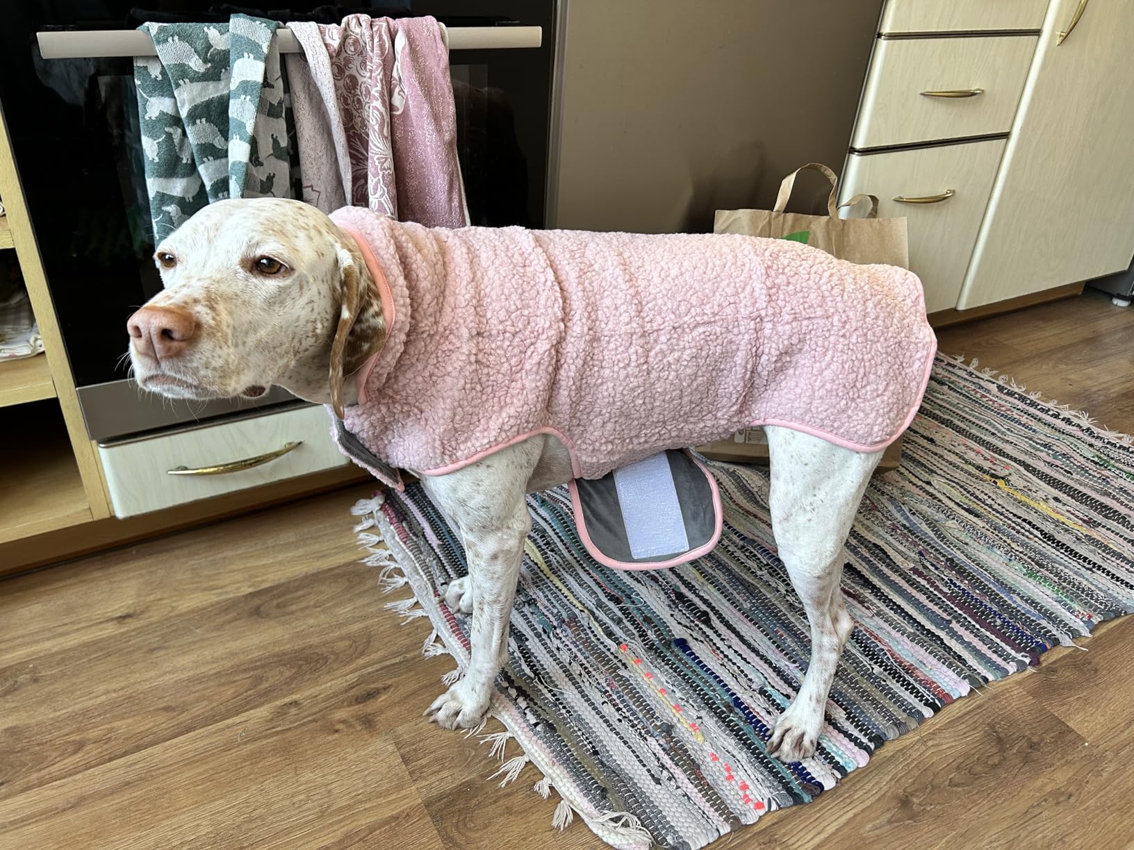 cyeollo Warm Dog Coat Fleece Sherpa Winter Sweater Coats, Turtleneck Dog Jacket Vest for Small Medium Large Dogs with Leash Hole, Soft Reversible Pet Coats for Cold Weather, Green, L customer photo 1