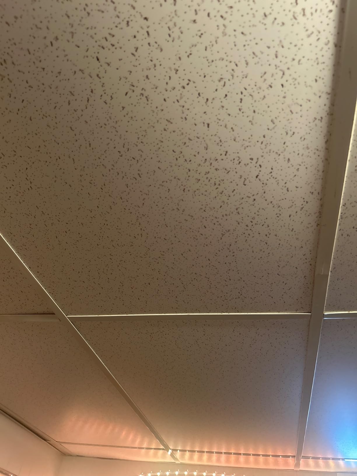 2ft x 4ft Printed Pro Ceiling Tiles - Drop Ceiling Tiles 24 x 48in - Waterproof, Washable and Fire-Rated - Reusable -High-Grade PVC to Prevent Breakage-Cover 80 Sq. Ft-Package of 10 Tiles customer photo 1