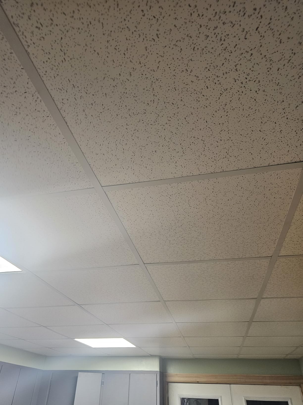 2ft x 4ft Printed Pro Ceiling Tiles - Drop Ceiling Tiles 24 x 48in - Waterproof, Washable and Fire-Rated - Reusable -High-Grade PVC to Prevent Breakage-Cover 80 Sq. Ft-Package of 10 Tiles customer photo 2