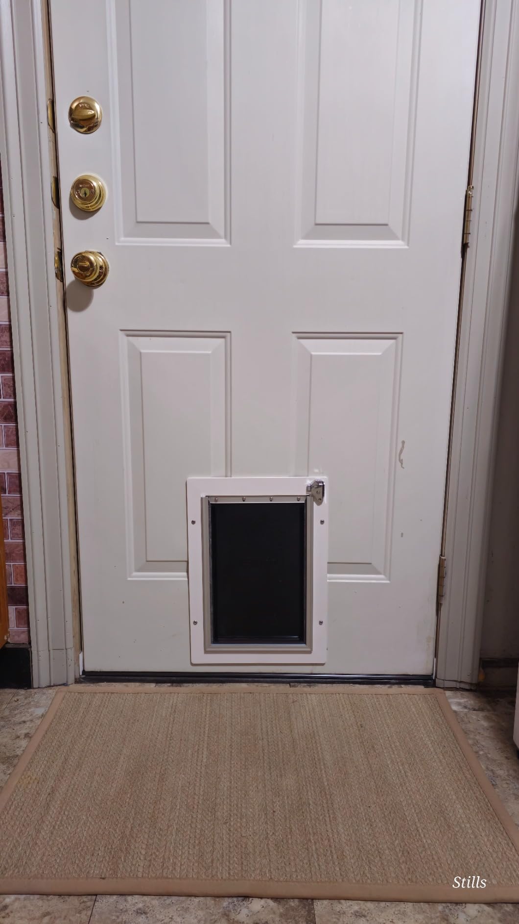 Extra Large Dog Door for Exterior Door, Up to 220 lbs, Doggy Door with 3 Flaps Opening 13.4