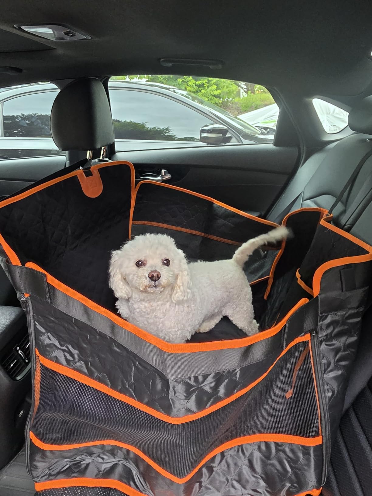 Instraella Dog Car Seat for Large Dogs, Half Back Seat Extender with Hard Bottom, Waterproof Non-Slip Pet Car Seat for Cars, SUVs and Trucks, Fits Medium Dogs customer photo 1