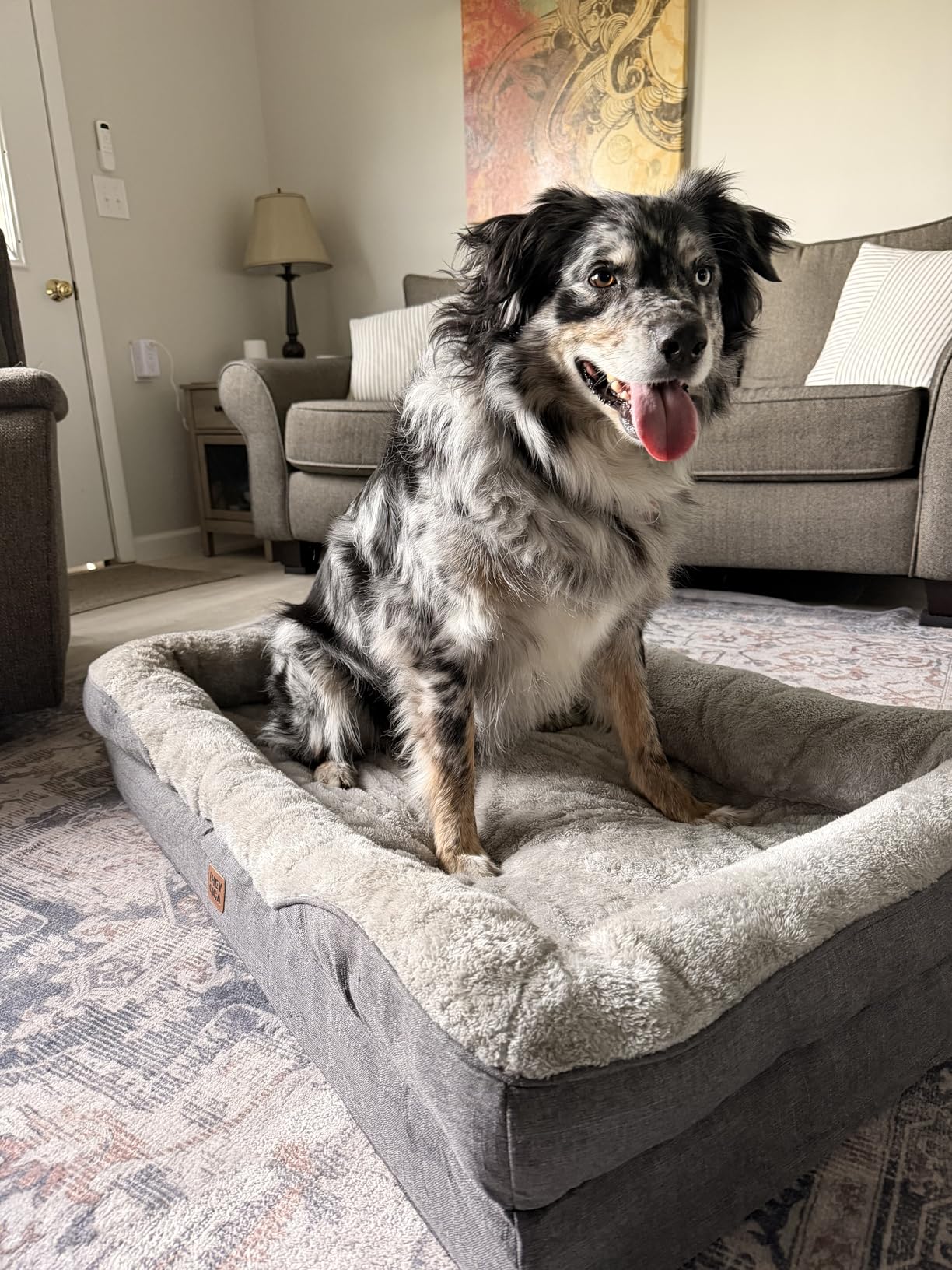 EHEYCIGA Orthopedic XL Dog Bed for Large Sized Dog, 42x30 Inch Extra Large Memory Foam Dog Couch Bed with Sides, Waterproof Liner & Washable Removable Cover, Bolster Pet Sofa, Grey customer photo 2