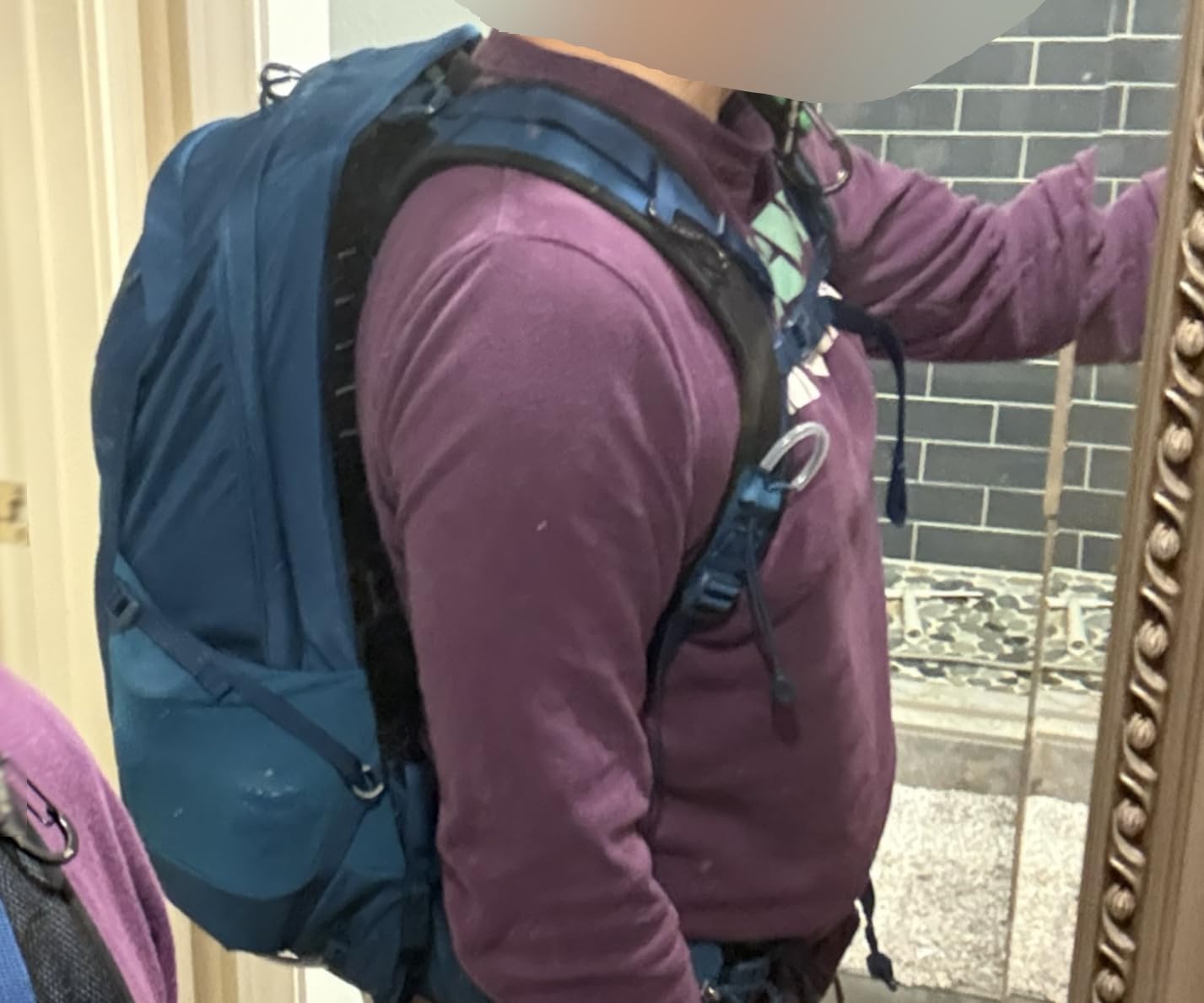 Osprey Talon 22L Men's Lightweight Hiking Backpack - Small Daypack for Travel & Camping, Green Canopy/Pine Leaf customer photo 1