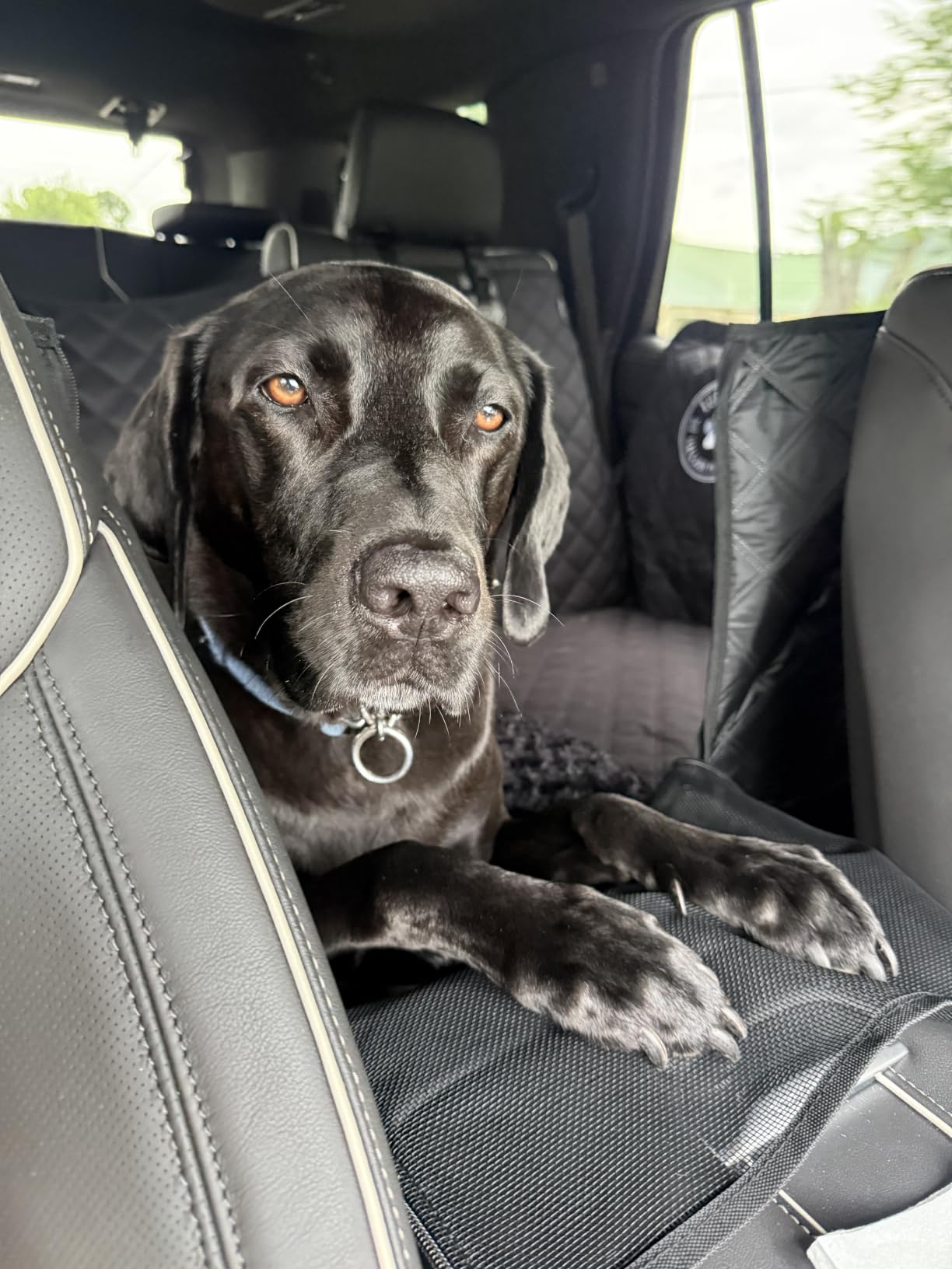 Ruff Liners XL Back Seat Extender for Dogs, Black - As Seen on Shark Tank - Flat Bridge Platform for Full-Size Trucks, Stable Base, 400lb Support, Waterproof - Rigid Back Seat Cover for Dogs customer photo 2