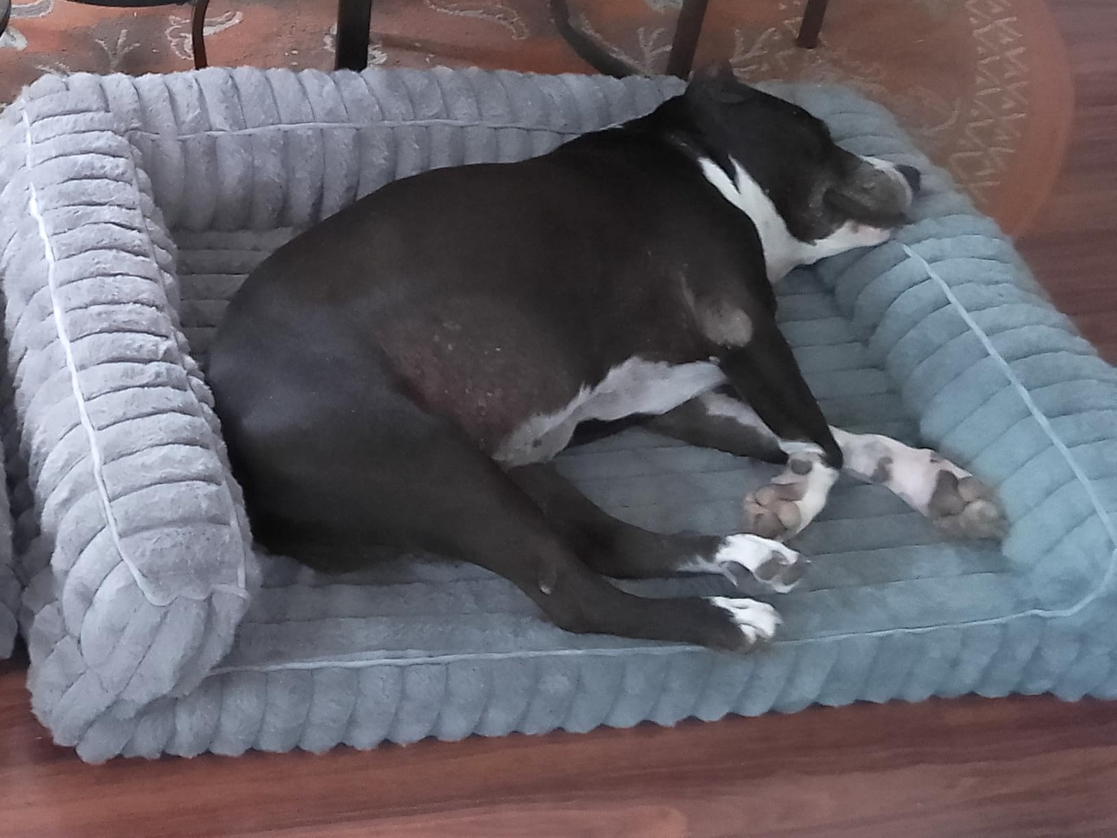 Bedsure ComfyFleece Orthopedic Dog Beds Large Sized Dog, Waterproof Memory Foam Pet Couch Sofa with Sides, Non-Slip Bottom and Egg-Crate Foam Large Pet Bed with Washable Corduroy Cover, Grey customer photo 1