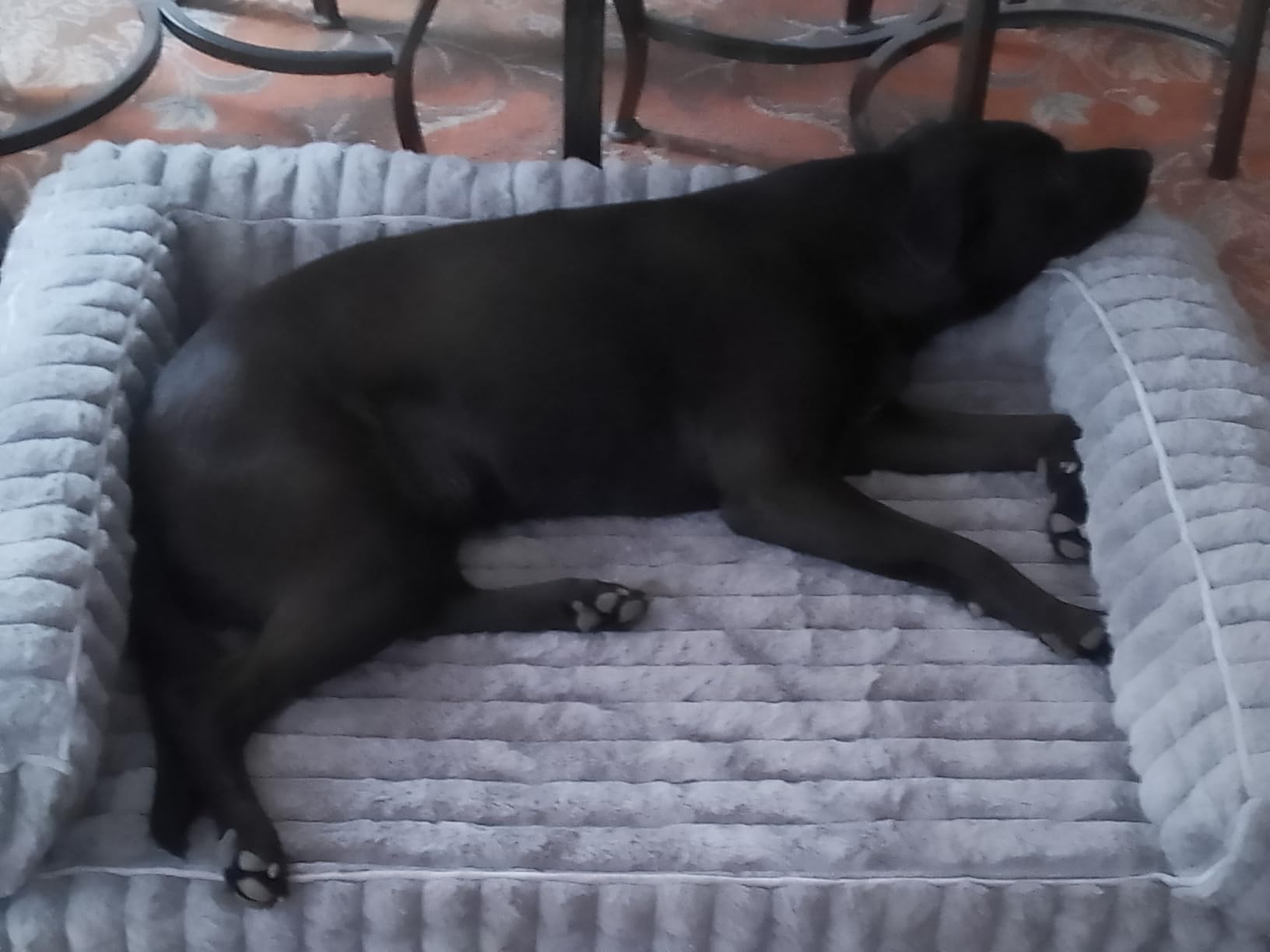 Bedsure ComfyFleece Orthopedic Dog Beds Large Sized Dog, Waterproof Memory Foam Pet Couch Sofa with Sides, Non-Slip Bottom and Egg-Crate Foam Large Pet Bed with Washable Corduroy Cover, Grey customer photo 2
