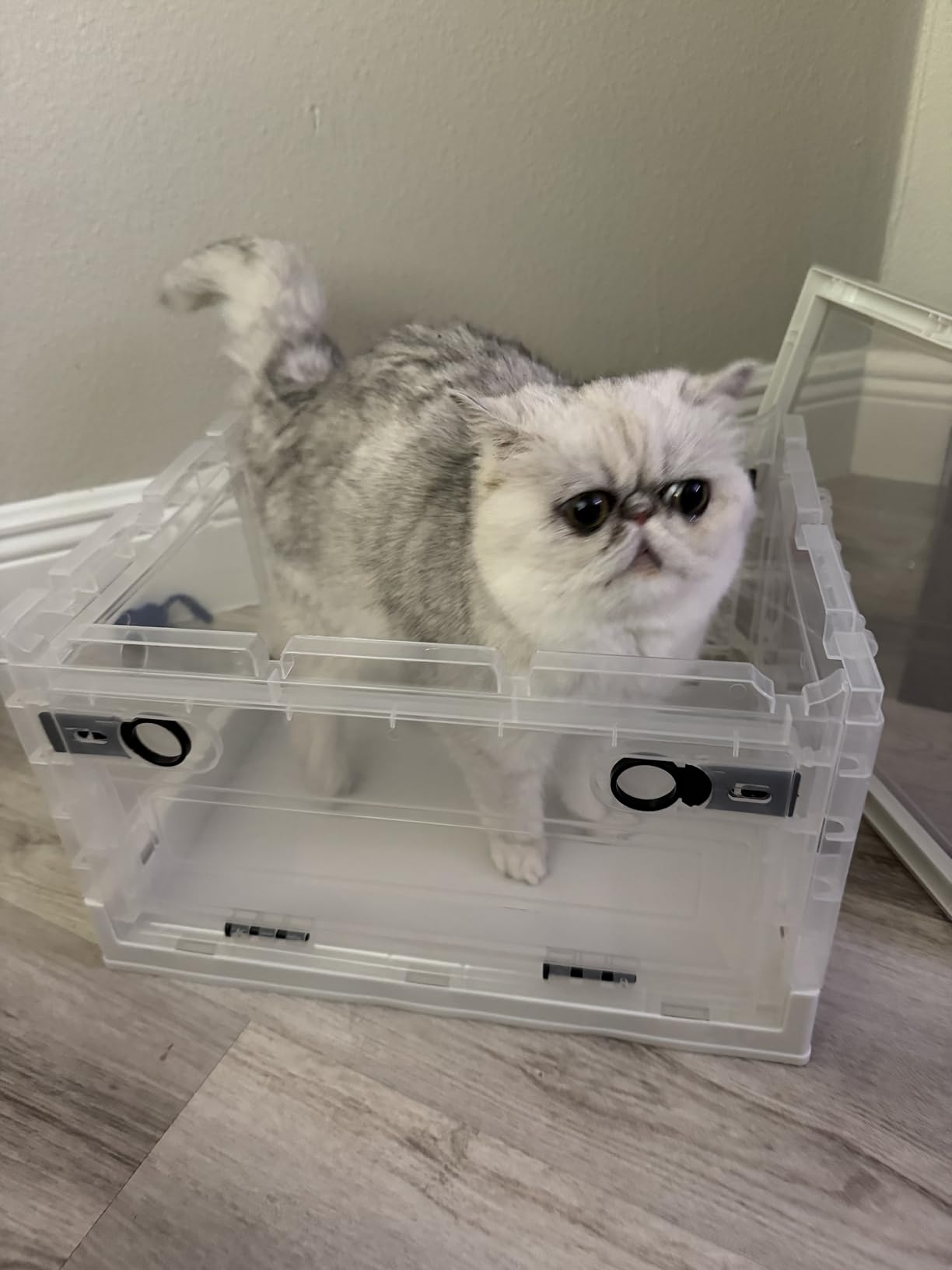 Oxygen for Dogs Chamber with Wheels, 89L Folding Puppy Incubator, Large Breathable Visible Dog Oxygen Chamber with Pet Bed Mat Care Accessories customer photo 2