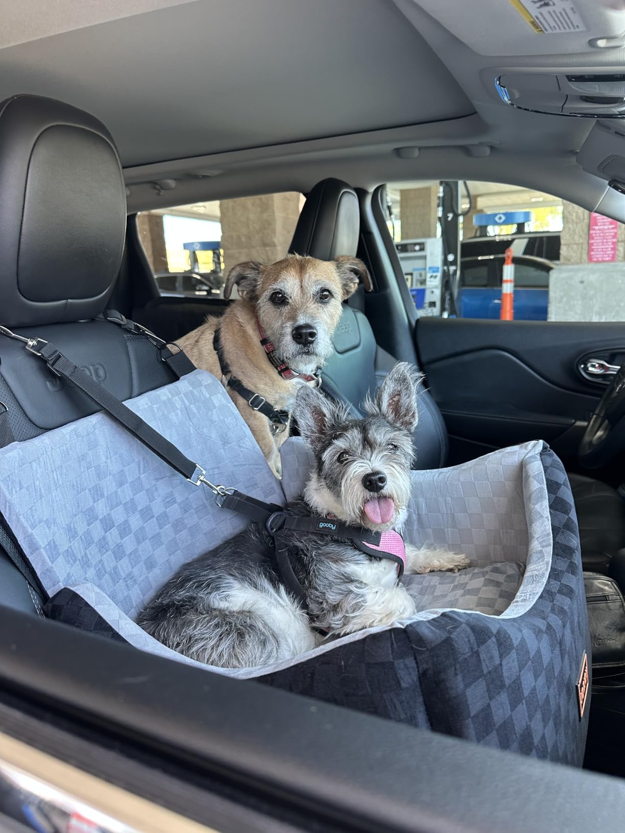 JOEJOY Dog Car Seat for Medium/Large Dogs - Reversible Dual-Sided Travel Dog Car Bed with Memory Foam, Washable Pet Booster Seat for Dogs up to 55 lbs or 2 Small Dogs, 2 Safety Leashes, Grey customer photo 1