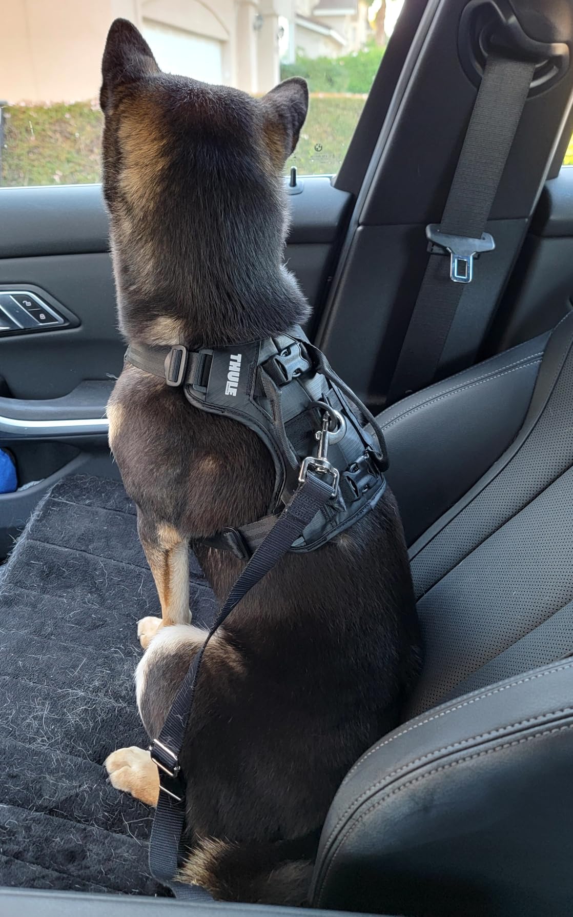 Thule Cappy Dog Harness L - Crash-Tested for Safety - Seatbelt passthrough - Adjustable & Easy to Clean - Padded Breathable mesh Panels - Leash Loop - Step-in Design customer photo 2