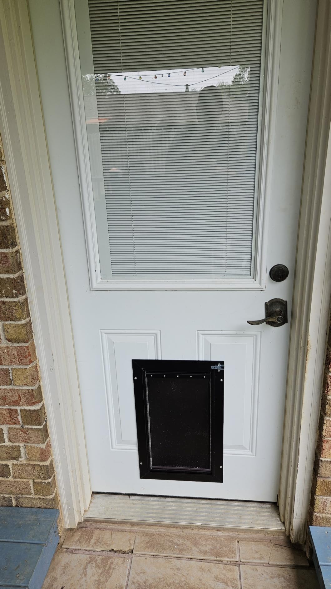 All Aluminum XL Dog Door for Exterior Door, Extra Large Dog Door, Heavy Duty Pet Door, Double Magnetic Flaps, Thermal Tnsulation, Energy Efficient, Sliding Lock Panel (Pets Up to 220Lb) customer photo 1