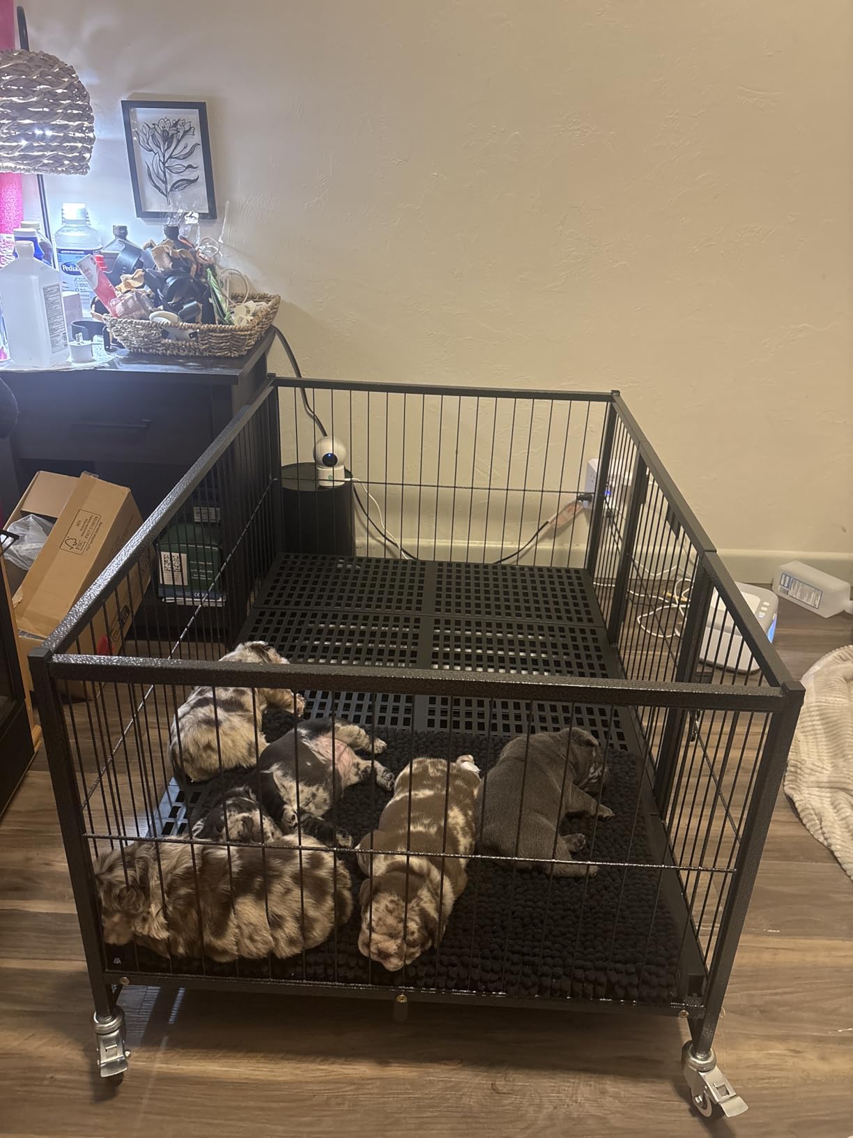 Homey Pet 43'' Whelping Box for Dogs and Puppies, Taller Heavy Duty Dog Whelping Box Puppy Playpen with 4 Wheels, Front Door, Top Open, Stackable Metal Dog Crate Cage Kennel Indoor customer photo 1