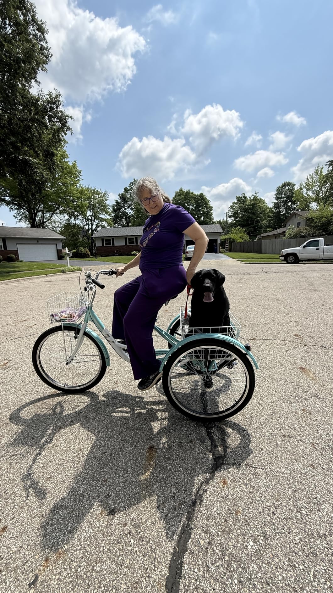 VIRIBUS Adult Tricycle, 7 Speed Tricycle for Adults, 400 lb. Capacity Three Wheeler customer photo 1