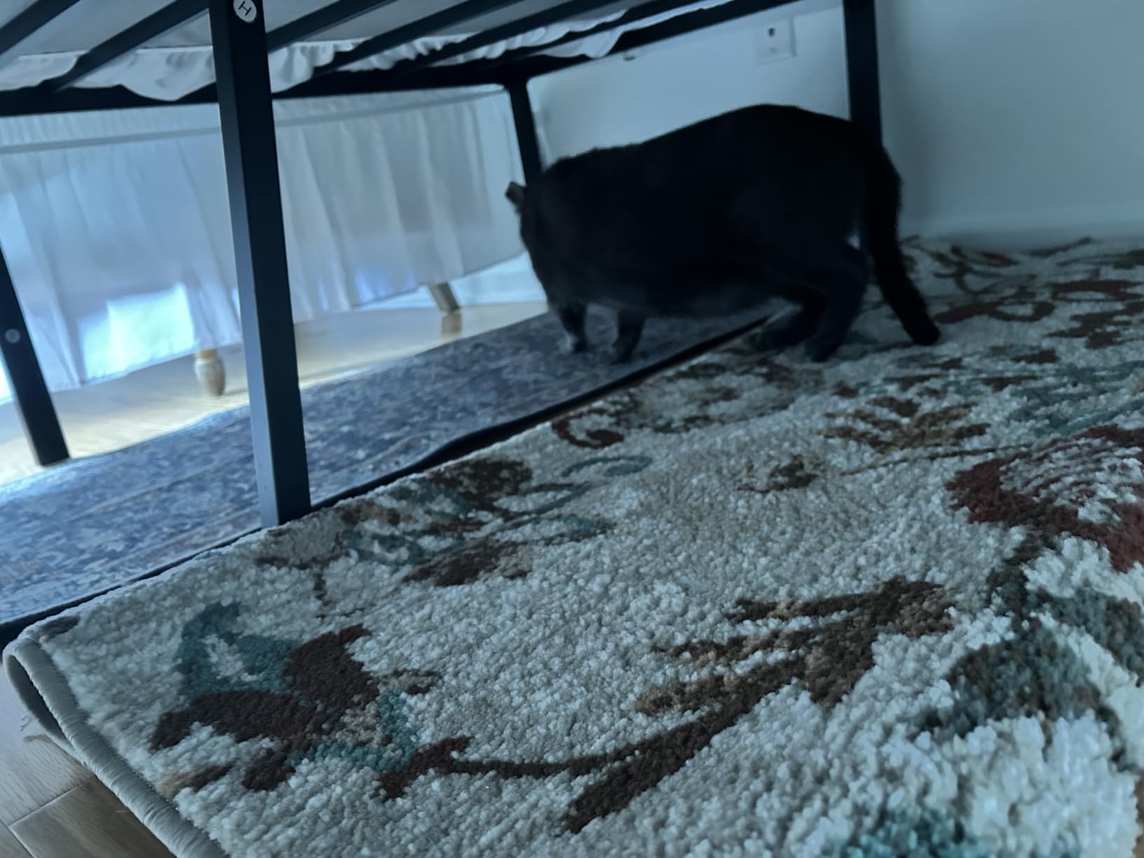 VASAGLE Full Metal Bed Frame 18 Inches Tall, 1100 lb Weight Capacity, No Box Spring Needed, with Under-Bed Storage, Easy Setup, Heavy-Duty Platform Bed, Mattress Retainers, Matte Black URMB672BD02S customer photo 2