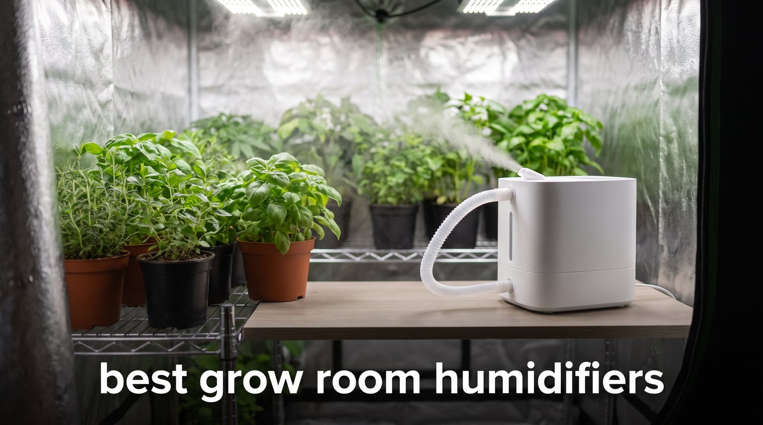 best grow room humidifiers