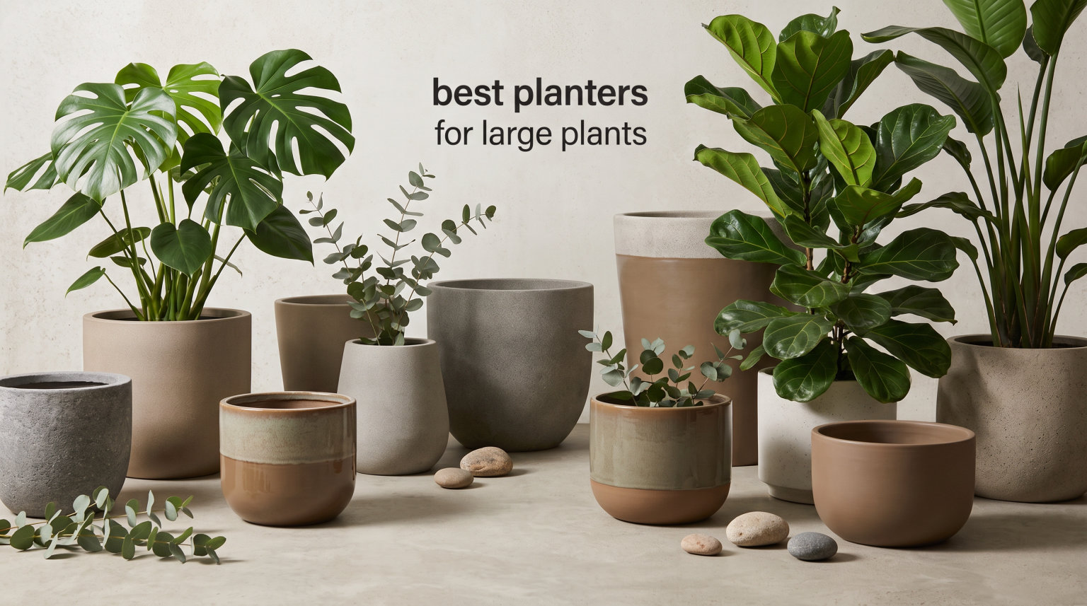best planters for large plants
