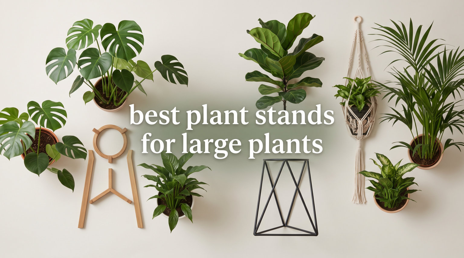 best plant stands for large plants