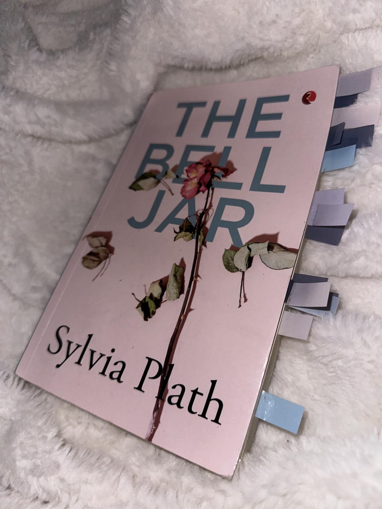 The Bell Jar: A Timeless Coming-of-Age Classic (Perennial Classics) customer photo 2