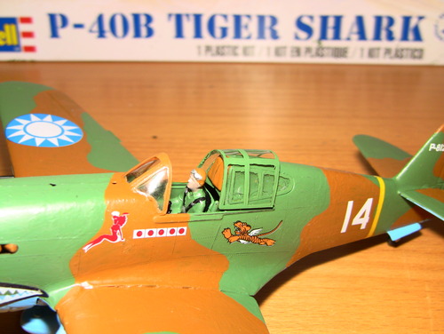Revell 1:48 P-40B Tiger Shark Plastic Model Kit customer photo 2