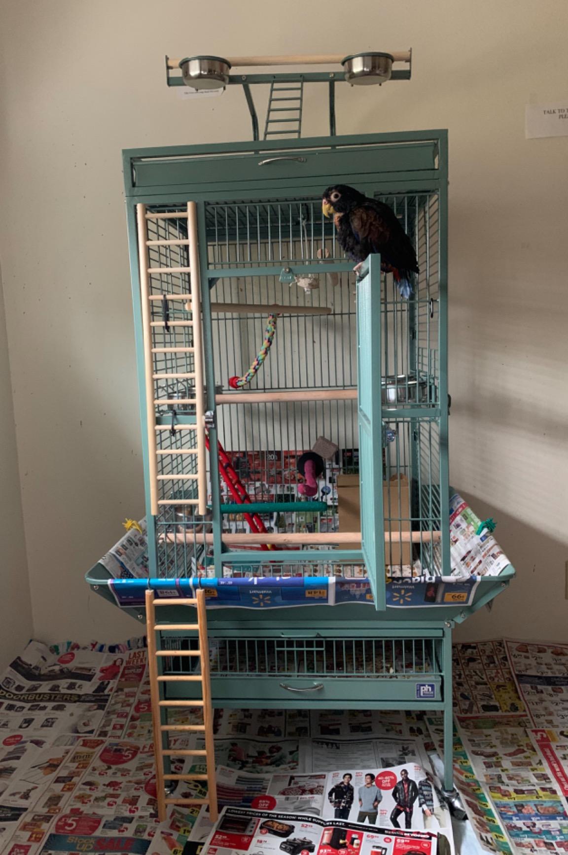 Prevue Pet Products Playtop Bird Home - L, Beige | Large Wrought Iron Bird Cage with Rolling Stand, Ideal for Cockatiels, Conures, and Medium to Large Parrots customer photo 1
