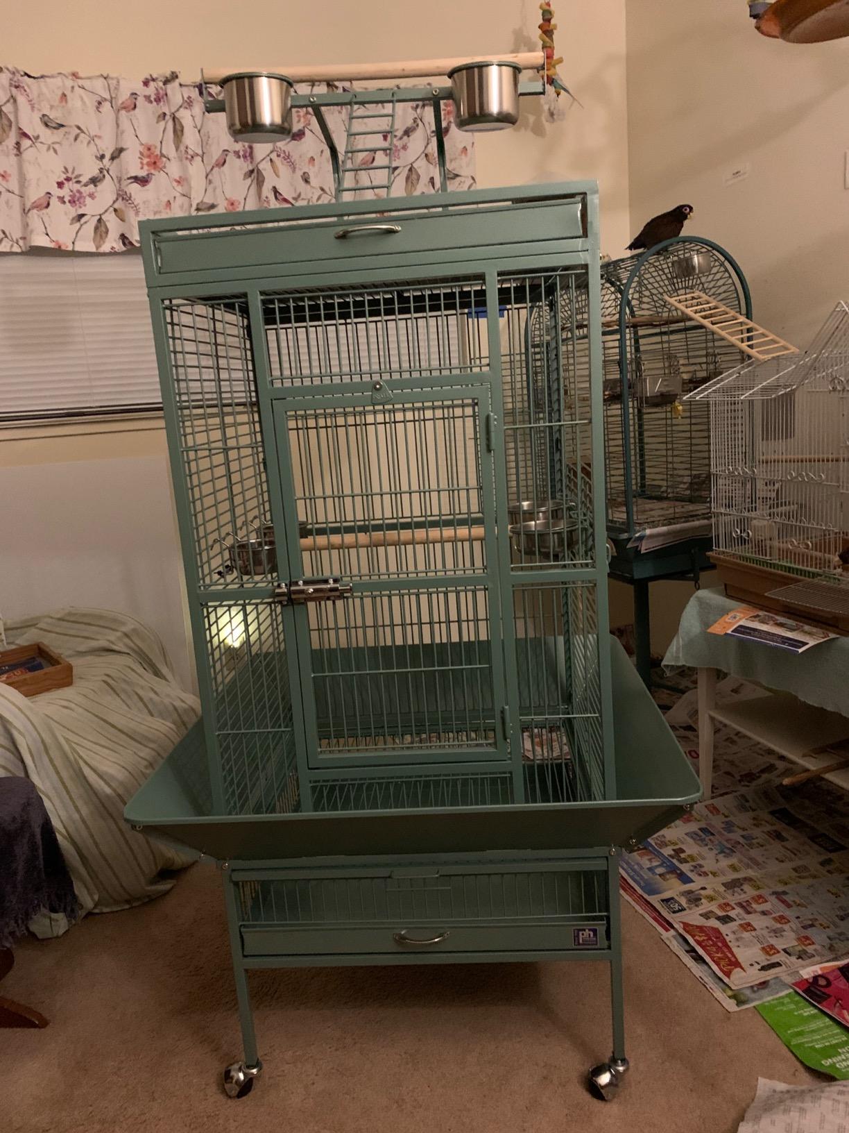 Prevue Pet Products Playtop Bird Home - L, Beige | Large Wrought Iron Bird Cage with Rolling Stand, Ideal for Cockatiels, Conures, and Medium to Large Parrots customer photo 2