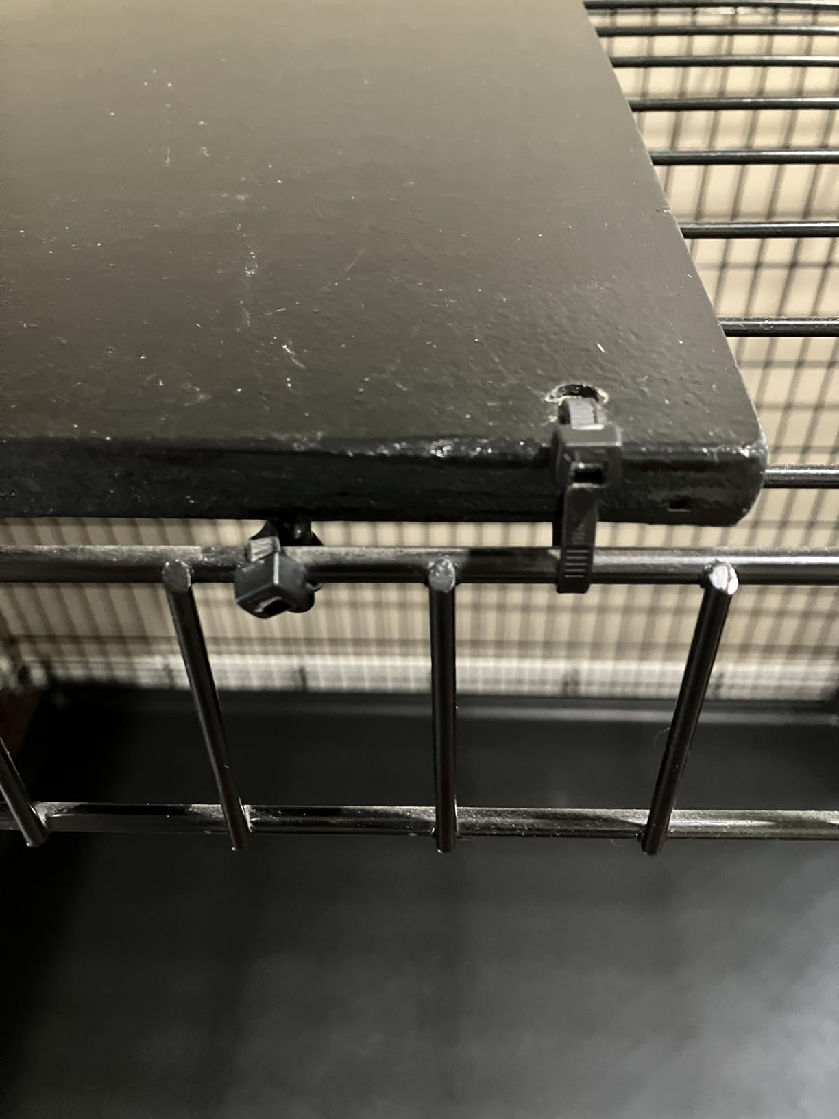 MidWest Homes for Pets 42-Inch iCrate for Large Breeds, 71-90 lbs, Double Door Folding Dog Crate with Divider Panel, Leak-Proof Tray & Secure Latches, Portable, Durable & Easy to Assemble customer photo 2