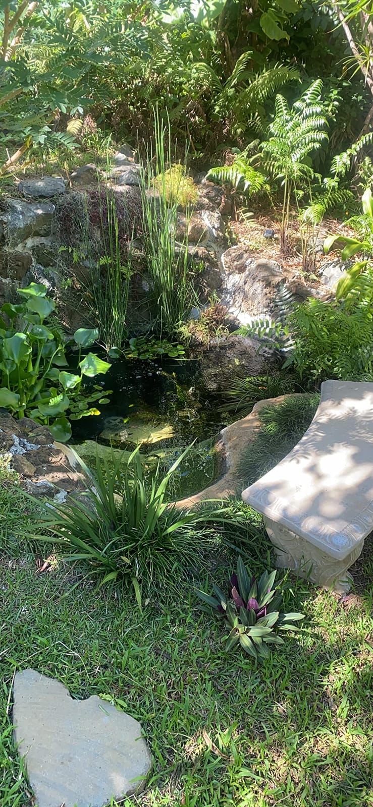 SkeeterVac SV5100 Outdoor Mosquito & Backyard Insect Trap, 1+ Acre Coverage | 1+ Acre Coverage customer photo 2
